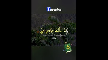 سورة البقرة تلاوة خاشعة - و إذا سألك عبادي عني فإني قريب