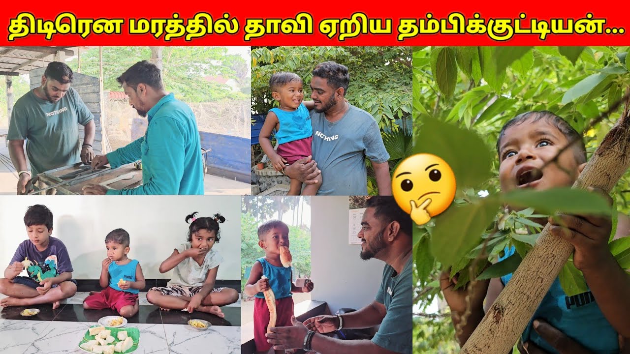 Счастливое утро с малышом../😀😀/SSV VLOG/jaffna vlog/😀😀