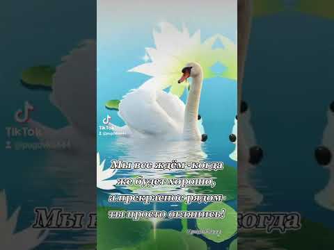 СЧАСТЬЕ НЕ ПРИХОДИТ,ПРИХОДИТ УМЕНИЕ ЕГО ВИДЕТЬ!