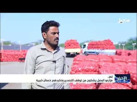 تعز... مزارعو البصل يشكون من توقف التصدير وتكبدهم خسائر كبيرة