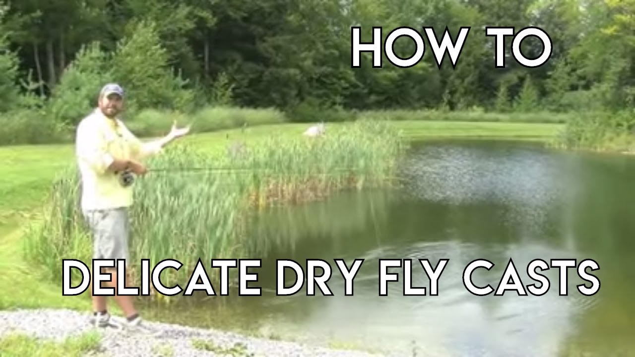 orvis fly fishing learning center Dry Fly Casts | Delicate Presentations