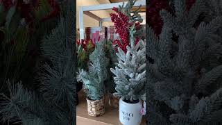 Flocked Mini Christmas Trees 🎄| Kohl’s | #Shorts | Cool Places