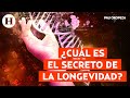 ¿Cuál es el secreto para tener una vida saludable y larga? | Numerología con Pau Oropeza