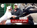 رامو شاب شغوف بتربية الحيوانات يحول سطح منزله إلى مزرعة للكلاب الشرسة وينشئ زريبة لأغنام الدمان