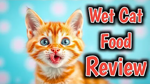 Watch the video about Webbox Wet Food for kittens & adult Cats🤩is wet food better for cats than dry food🔥Wet Cat Food🔥