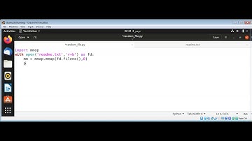 Python Random File Access Using mmap