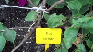 Eagle Project at E. W. S. Food Nutrition Center By Ian Lindskoog..mp4