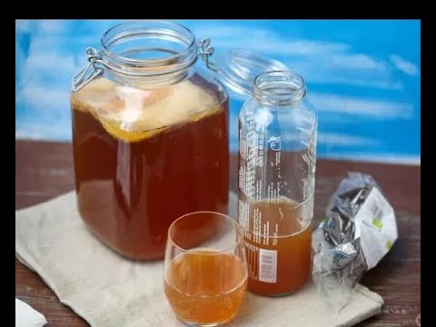 Видео: Kombucha ундааны ашиг тус, хор хөнөөл