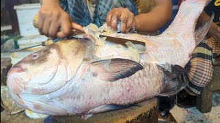 15 Kg Giant Catla Carp Fish Cutting & Skinning Skills In Dhaka Fish Market By Expert Cutter