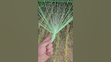 Loading netwrap into a john deere 560M baler #406 #johndeere #bale #netwrap #deere #shorts #youtube