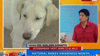 NTG: National Rabies Awareness Month, ipinagdiriwang tuwing buwan ng Marso