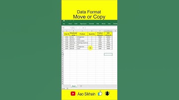 Data Format Move or Copy in excel