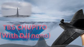 CHUPITO TBS(with DJI NANO)