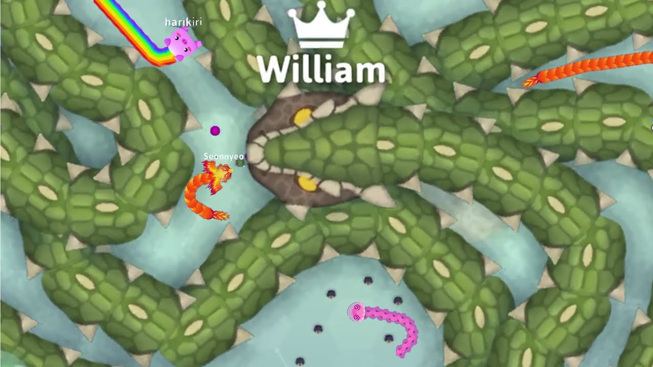 SNAKE.IO🐍12K HIGHSCORE 😃BEST THRILLING ADVENTURES 🐍INTENSE ASSASSIN Compilation !!!