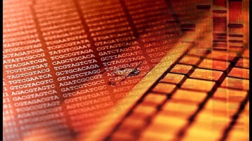 Bioinformatics for Beginners