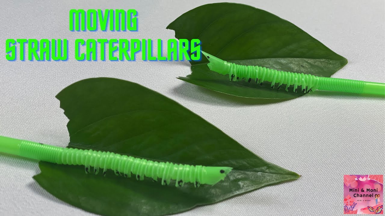 How to make a Caterpillar using straws DIY Straw Caterpillars YouTube