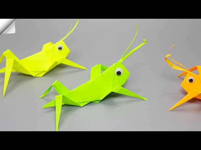Amazing Grasshopper Crafts for Preschoolers 3 sddefault