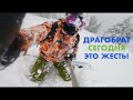 Драгобрат 13.12.2023 Оаза, гора Жандарм. Трудный спуск