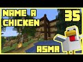 ⛏️ [ASMR] Name One of Our Chickens! | Ep. 35 🐔🐤