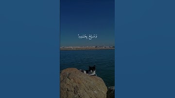 أرح قلبك بتلاوة خاشعة بصوت#الشيخ#خالد_الجليل
