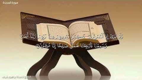 القارئ ابراهيم شرف