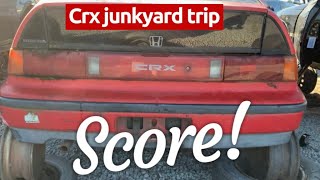 Crx junkyard trip …..score!