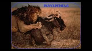 Mavimbela Clan Praise