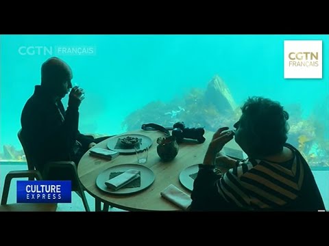 Vidéo: Dive In: La Norvège Ouvre Le Plus Grand Restaurant Sous-marin Du Monde