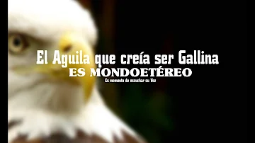 El Aguila que creia ser una Gallina - Es MondoEtereo