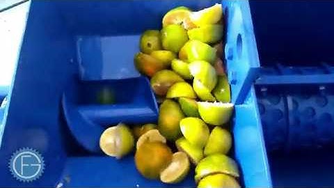 Orange/Mausambi Juice Extractor Machine New Technology by Geeli Fabricators, Ahmedabad