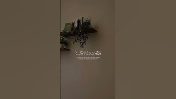 #explore #trending #اذكار_الصباح #اذكار_المساء #قرآن #قران_كريم #آيات