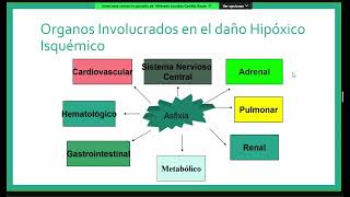 U2 - 20 Asfixia neonatal, Encefalopatía hipóxica isquémica, Hemorragia intracraneal | PEDIATRÍA