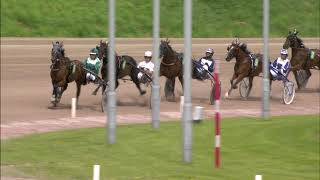 Vidéo de la course PMU PRIX BOLD EAGLE