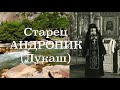 СТРАСТИ РОЖДАЮТСЯ ОТ НЕРАДЕНИЯ И РАССЕЯННОСТИ! Старец АНДРОНИК (Лукаш). 2-50