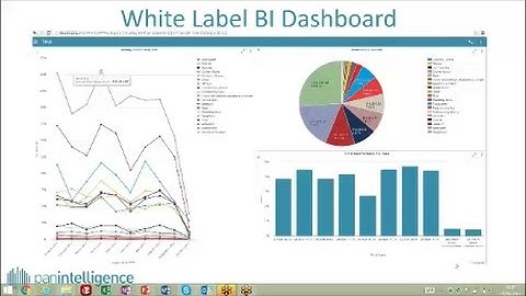 Panintelligence White Label Business Intelligence Dashboard