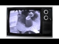 "Cups (Radio Version)" Fan Video