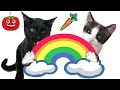 Mis gatitos bebés Luna y Estrella comiendo comida saludable arcoíris para niños / Funny cats