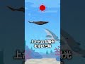 光るサメ【フジクジラ】