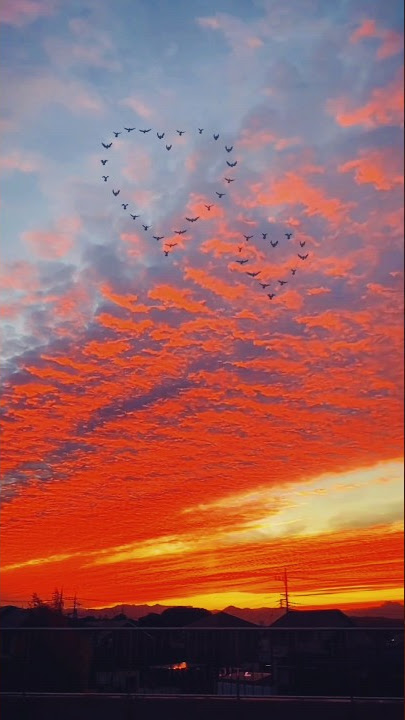 Teya dora - Dzanum song status edit ❤ || Moje More , my nightmares || aesthetic status #dzanum