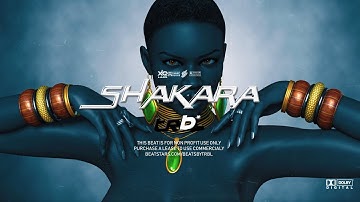 Afropop/Afrobeat (Wizkid x Burnaboy) type beat 2023 - SHAKARA
