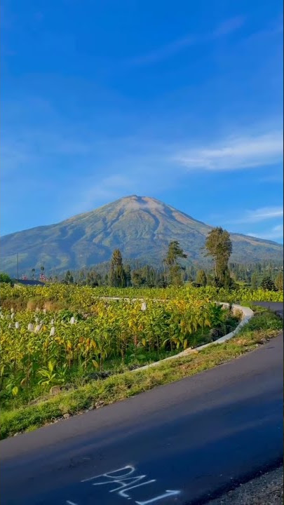 story wa gunung Sindoro dari canggal temanggung