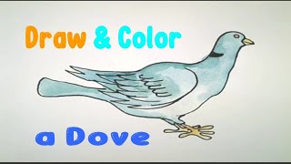Drawing tutorial step by step [Draw & Color a Dove]