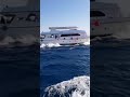 ПЛЫВЕМ на ОСТРОВ . ЕГИПЕТ . КРАСНОЕ МОРЕ . ХУРГАДА