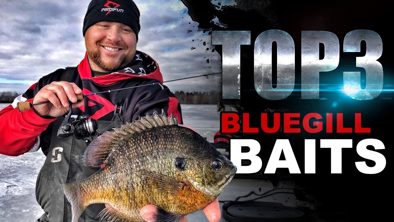 Top 3 Bluegill Ice Fishing Baits