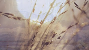 First Sunday of Advent Gospel Reading (Catholic Courier Advent Calendar, Dec. 2, 2018)