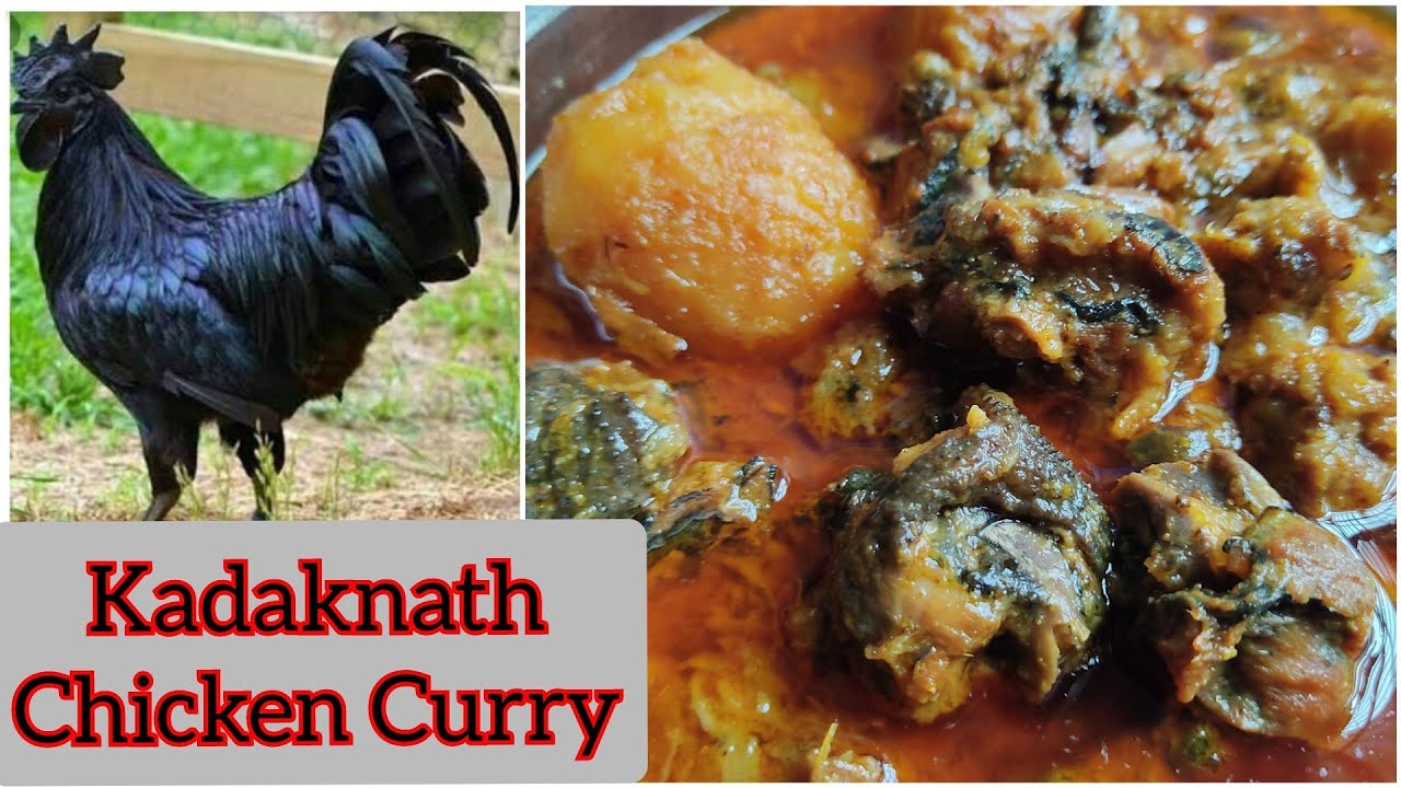 Karaknath Chicken Black Chicken Recipe Kadaknath Chicken Recipe In karaknath-chicken-black-chicken-recipe-kadaknath-chicken-recipe-in
