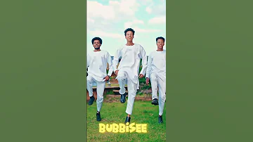 Buubbisee New Oromo Music 