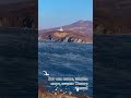 #зимнеенастроение #зима #природа #winter #shorts #beautiful #декабрь #море #sea #красота #морезимой