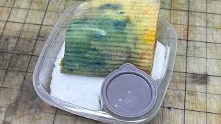 DIY Plein Air Kit For Gouache