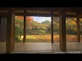 JGJG☆☆☆8K HDR Fukuoka,Kiyomizudera,Calm Garden in Autumn(Scenic Beauty) 福岡 清水寺本坊庭園(名勝) 静寂と癒しの紅葉